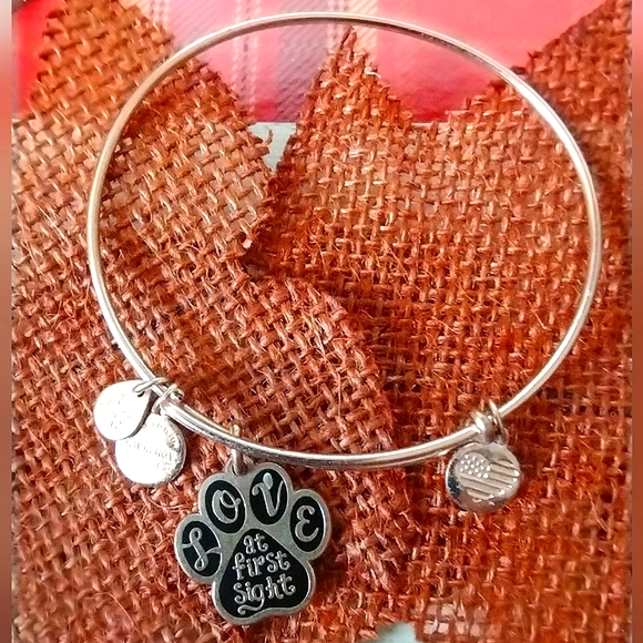 Alex and Ani Love at First Sight Pet Lover Bangle Charm Bracelet - Picture 3 of 8